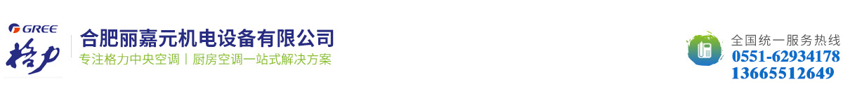 合肥麗嘉元機(jī)電設(shè)備有限公司